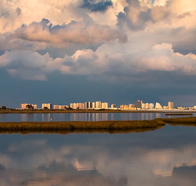 Thing To Do Any Bayside Rentals 