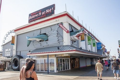 Things To Do Ripley's Believe It or Not