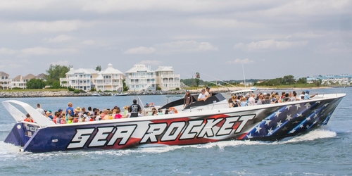 Things To Do Sea Rocket 